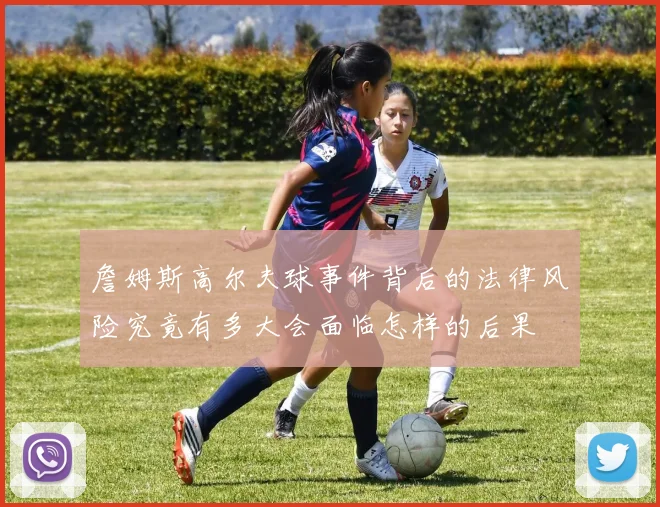 詹姆斯高尔夫球事件背后的法律风险究竟有多大会面临怎样的后果