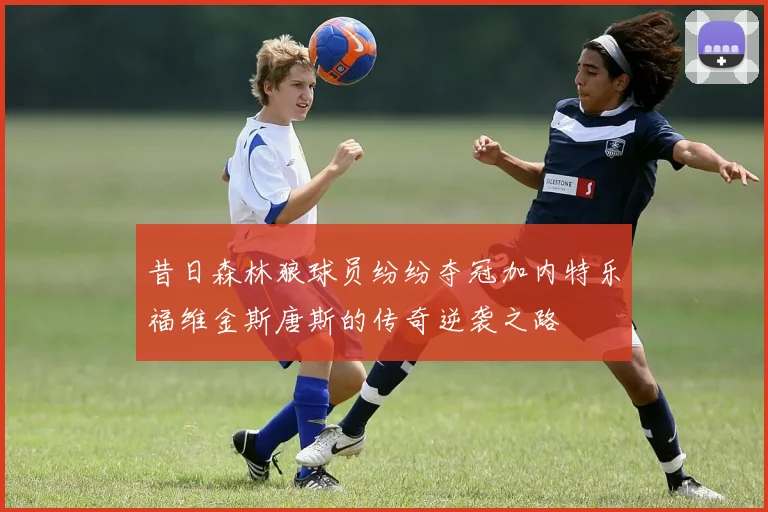 昔日森林狼球员纷纷夺冠加内特乐福维金斯唐斯的传奇逆袭之路